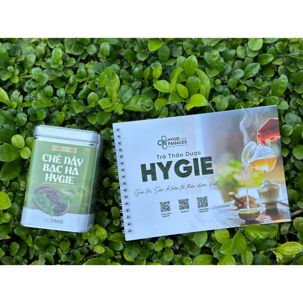 Trà Chè Dây Bạc Hà Hygie 50g/250g hỗ trợ tiêu hóa tốt