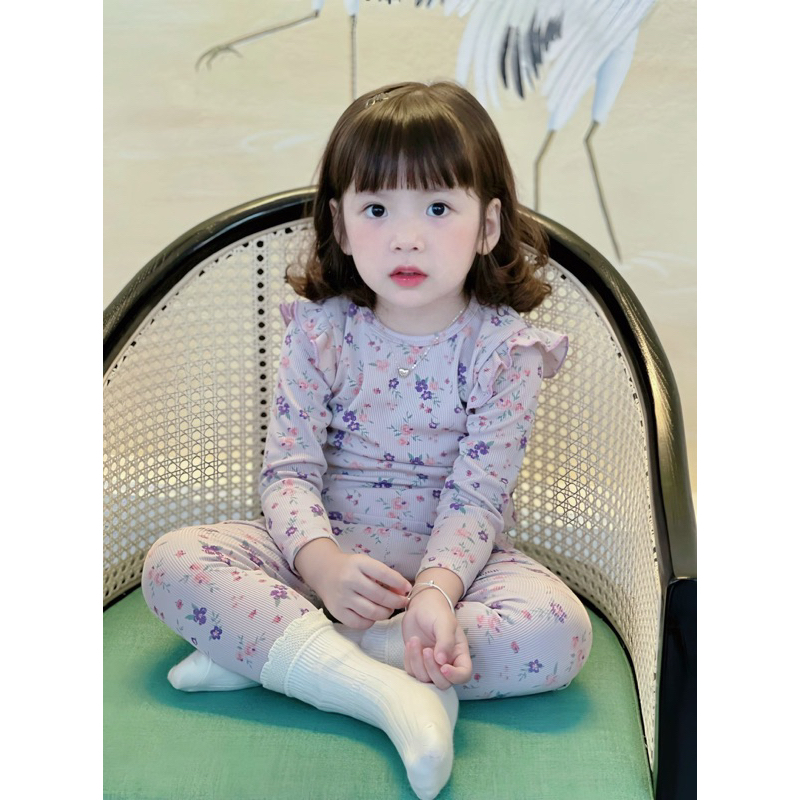 Set bé gái passter siêu xinh