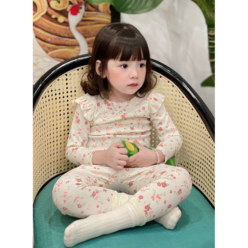 Set bé gái passter siêu xinh