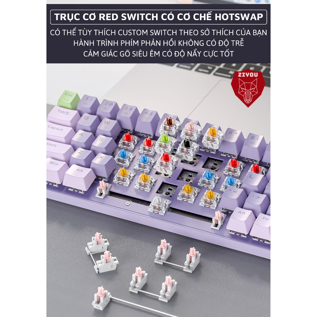 Bàn Phím Cơ Có Hotswap Ziyou K65 LED PRO Trục CƠ Red Switch, Thiết Kế Nhỏ Gọn 87 Keys