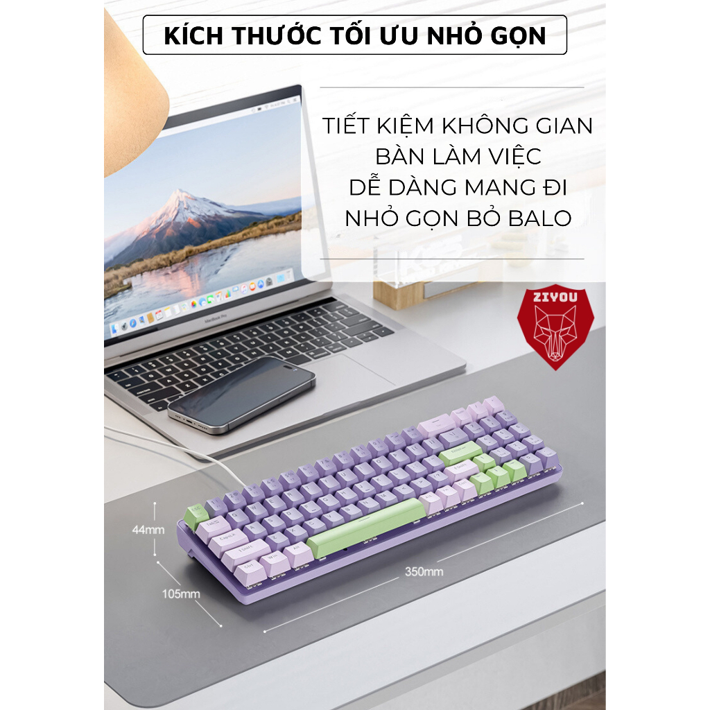 Bàn Phím Cơ Có Hotswap Ziyou K65 LED PRO Trục CƠ Red Switch, Thiết Kế Nhỏ Gọn 87 Keys