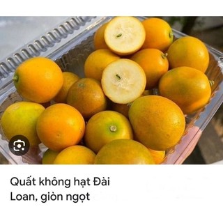 Cây tắc ngọt đài loan