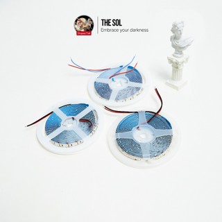 Led Dây Dán 2835 12V (by MD Led Lighting), (5M, 120 Led/180 Led/240 Led, 8MM), (ánh sáng: vàng/trung tính/trắng)