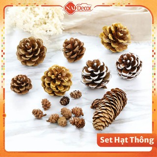 Hạt thông khô trang trí nhiều mẫu 𝐍𝐚𝐢 𝐃𝐞𝐜𝐨𝐫, dùng trang trí noel, phụ kiện decor chụp ảnh
