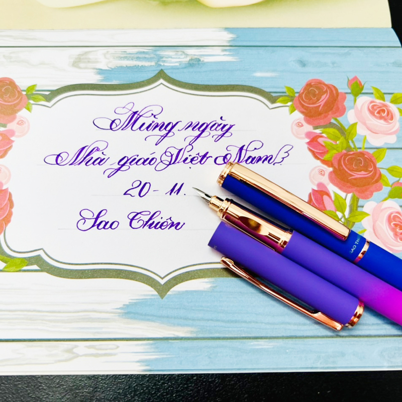 Bút Mực Sao Thiên S022 kim tinh lá tre luyện chữ thanh đậm calligraphy