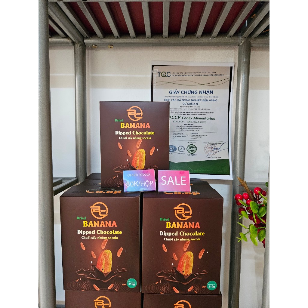 Combo 5 hộp bánh chuối nhúng socola