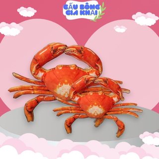 Gấu bông cua nhí 3d 30cm siêu đẹp