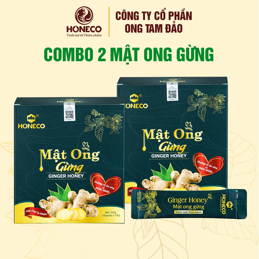 02 Hộp Mật ong Gừng HONECO 15 gói x 15g