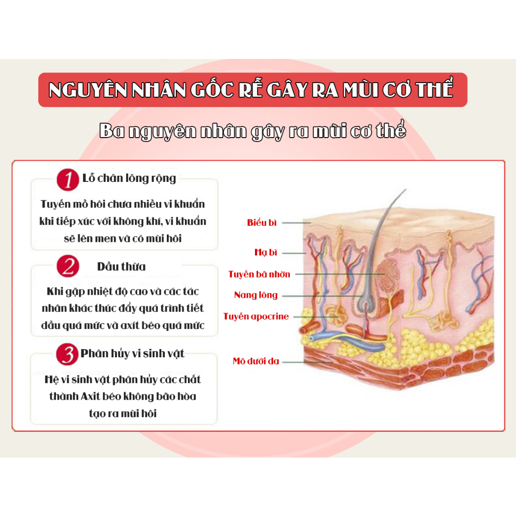 Bột Khử Mùi Hôi Nách Hôi Chân Ngọc Châu