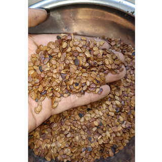 5gram hạt giống trắc đỏ