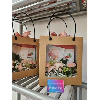 Hộp Thạch nha đam saponaria và lựu đỏ