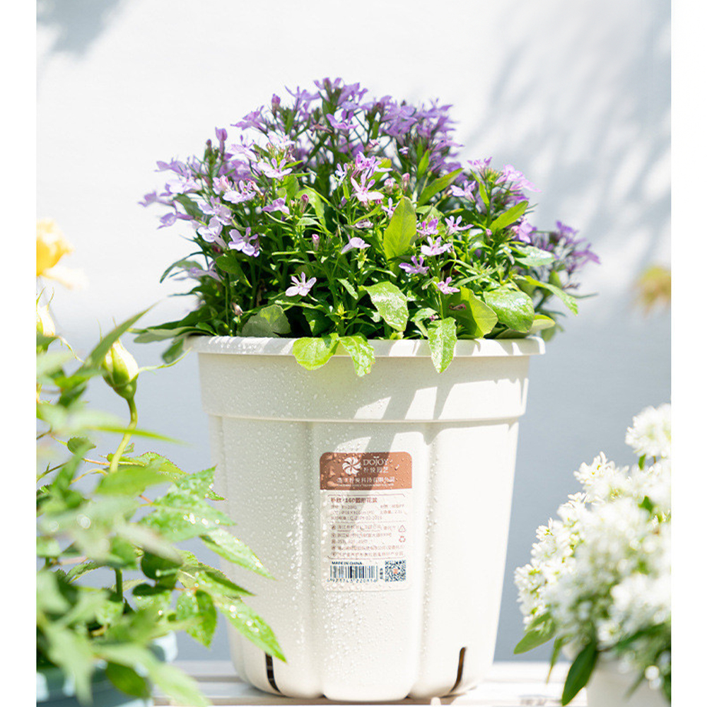 Chậu trồng cây decor MONROVIA kèm đĩa lót, cho hoa, cây cảnh, chất liệu cao cấp, tiêu chuẩn châu Âu