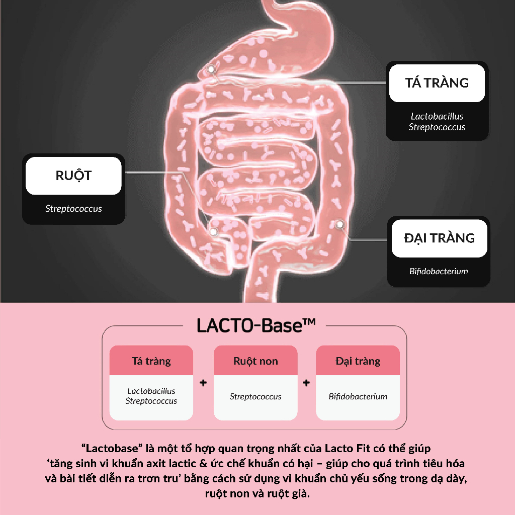 LACTO FIT SLIM 60 GÓI MÀU TÍM HỒNG HỖ TRỢ GIẢM CÂN