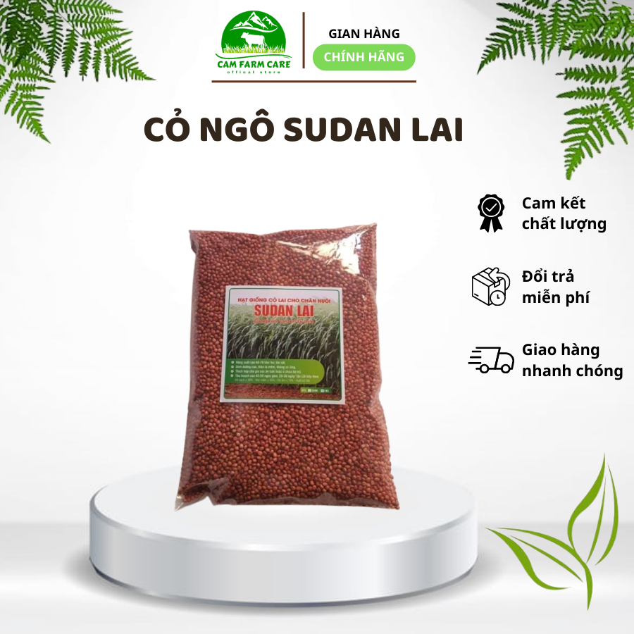 Hạt giống cỏ ngô Sudan lai gói 100g