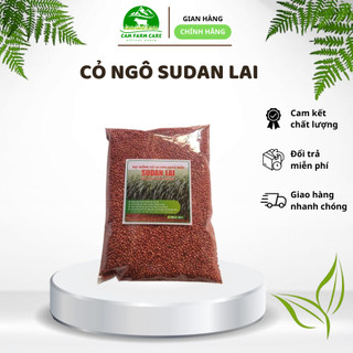 Hạt giống cỏ ngô Sudan lai gói 100g