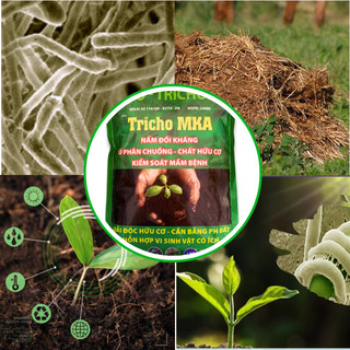 Trichoderma MKA nấm đối kháng bảo vệ rễ, ủ phân hữu cơ, xác bã thực vật (gói 1kg)