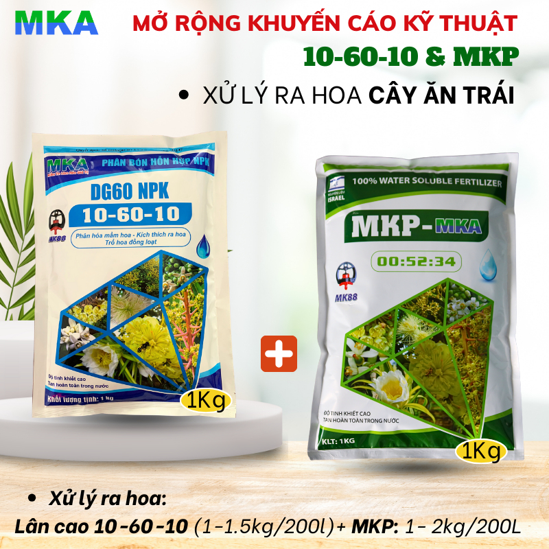 Phân bón MKP 0 52 34 MKA chặn đọt làm già lá tạo mầm hoa phân bón mekong