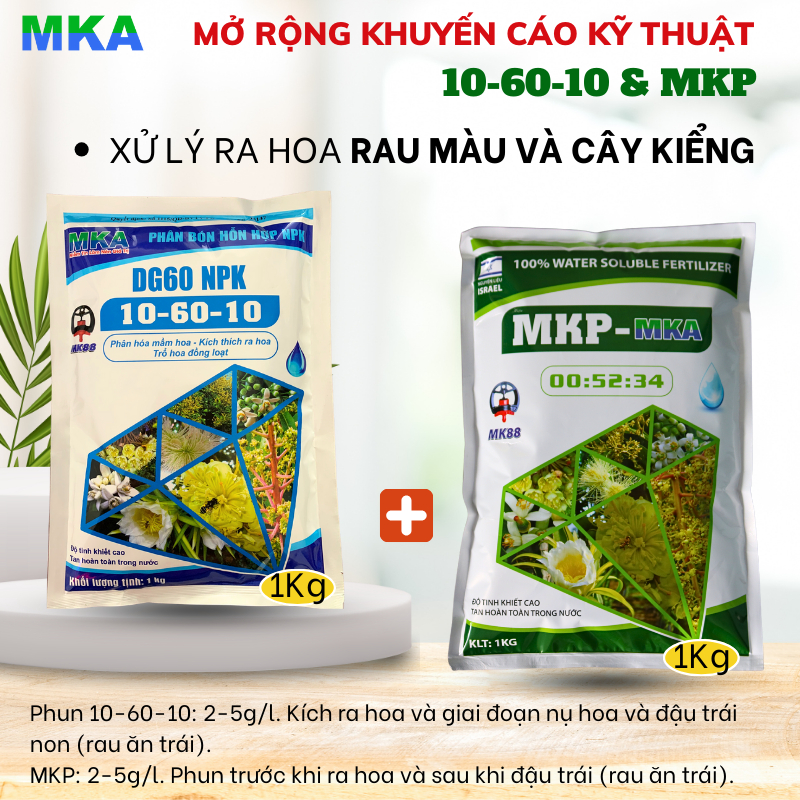 Phân bón MKP 0 52 34 MKA chặn đọt làm già lá tạo mầm hoa phân bón mekong