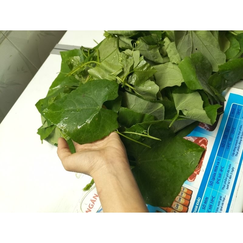 Rau lá bình bát dây 500g