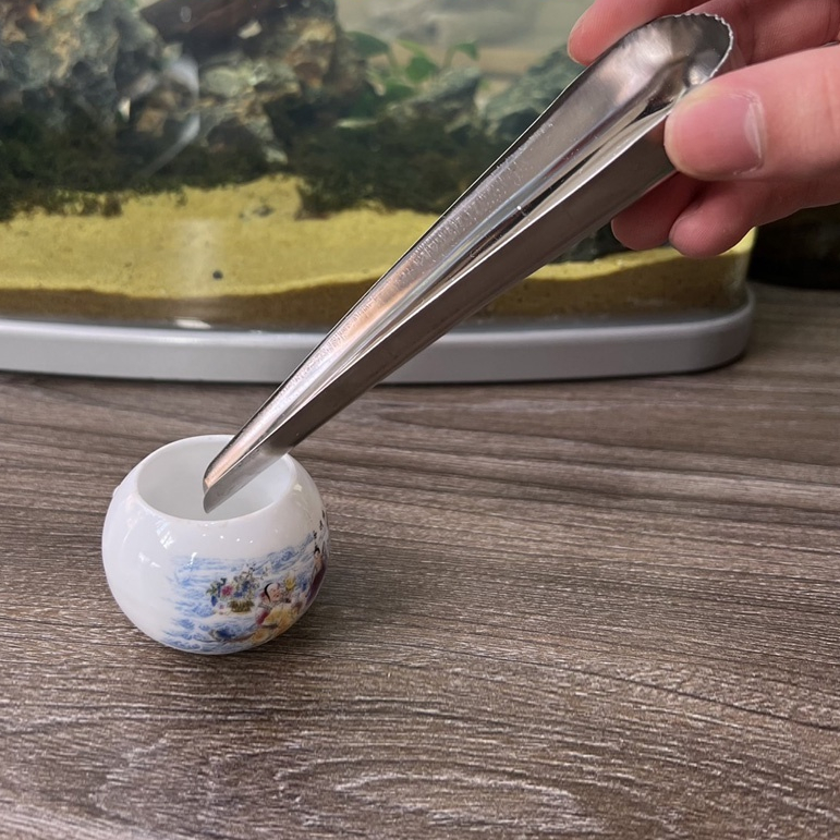 Thìa Xúc Cám Cho Chim- Châm Thức Ăn Cho Chim