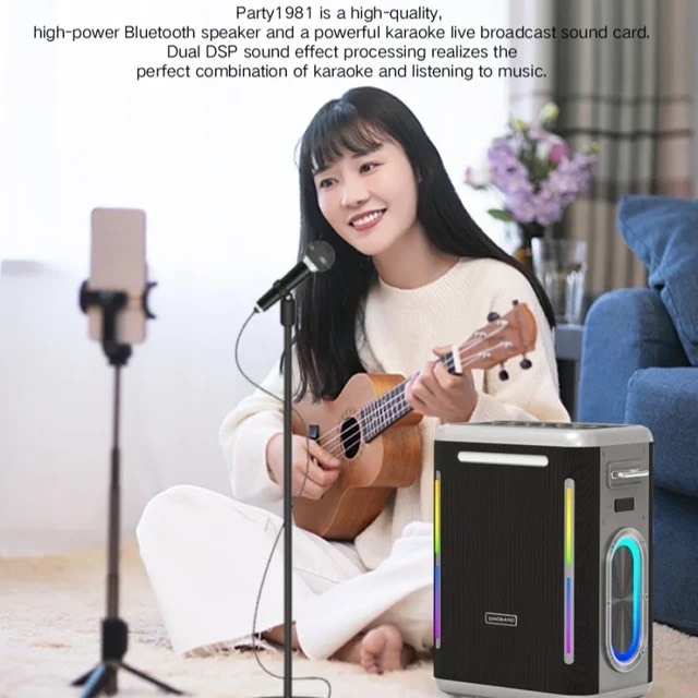 Loa Karaoke Bluetooth 5.3 XDOBO PARTY 1981 Công Suất 300W, Chống Nước IPX6, Hỗ Trợ Hát Karaoke, Thẻ TF, USB, Jack 6.5MM