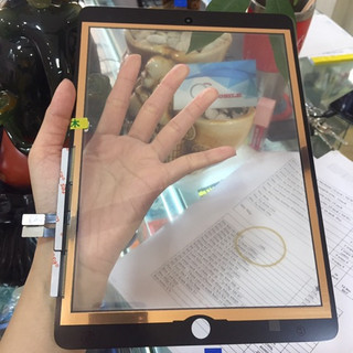 Cảm ứng Gen 6 (Zin mạch đồng)