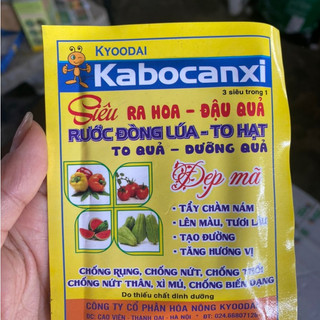 Kabocanxi - kích ra hoa đậu quả dùng cho cây dâu tây, bầu bí, dưa chuột, đậu, cây ăn trái