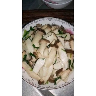 phôi nấm đùi gà