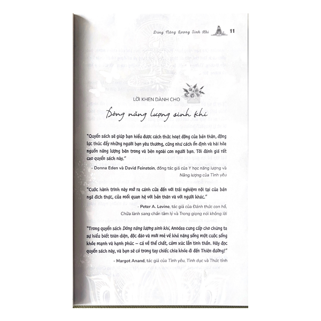 Sách Vanlangbooks - Dòng Năng Lượng Sinh Khí