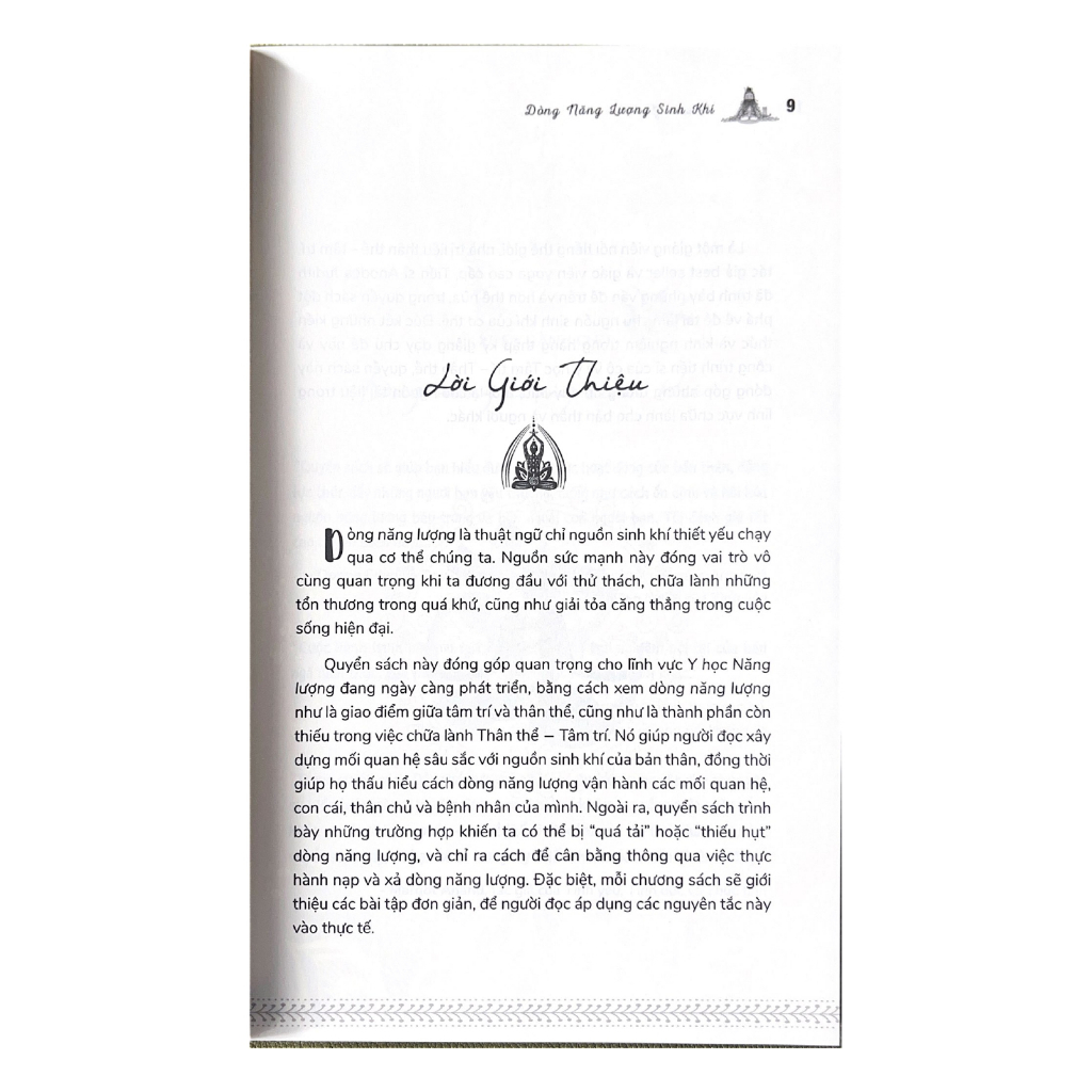 Sách Vanlangbooks - Dòng Năng Lượng Sinh Khí