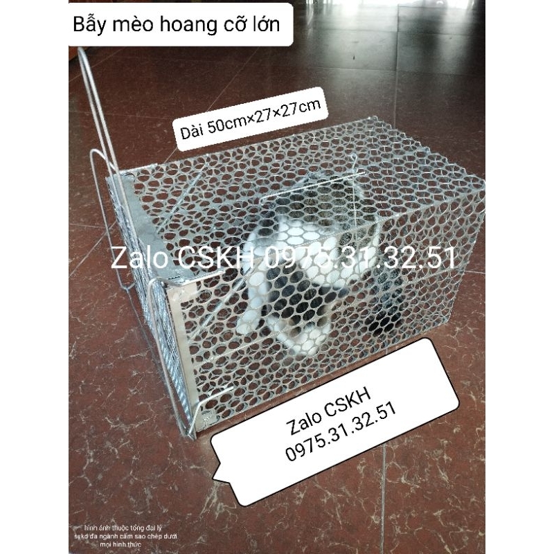 lồng bẫy mèo chồn cáo động vật hoang