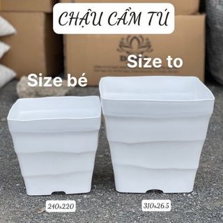 Combo 5 chậu nhựa trồng cây cẩm tú dáng vuông
