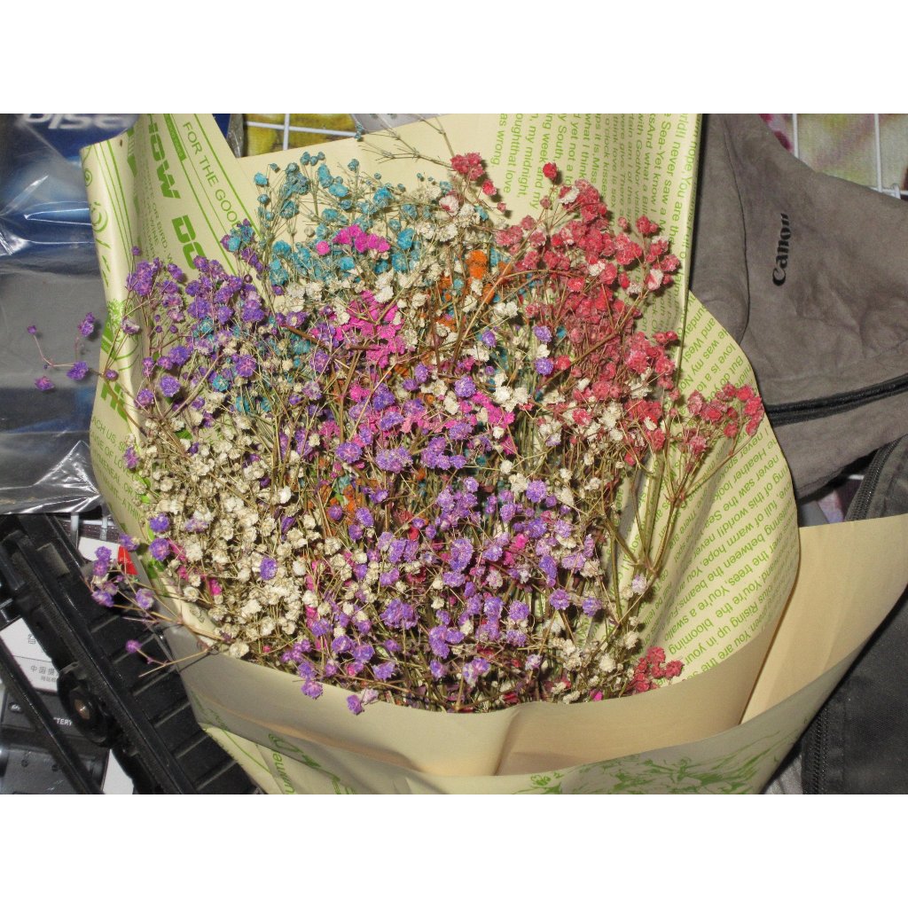 Máy ảnh Canon IXY 930 IS cảm biến CCD 12.1Mpx