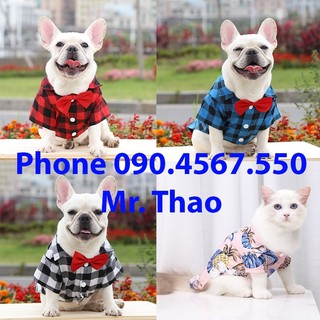 [Có Size 4XL] Áo sơ mi có nơ đi biển cho Chó Mèo , thời trang mùa hè dành cho cún cưng