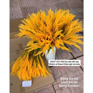 Bông lúa giả 5 nhánh – Hoa giả bông lúa giả chín vàng loại đẹp gồm bông lúa dài 64cm dùng trang trí cửa