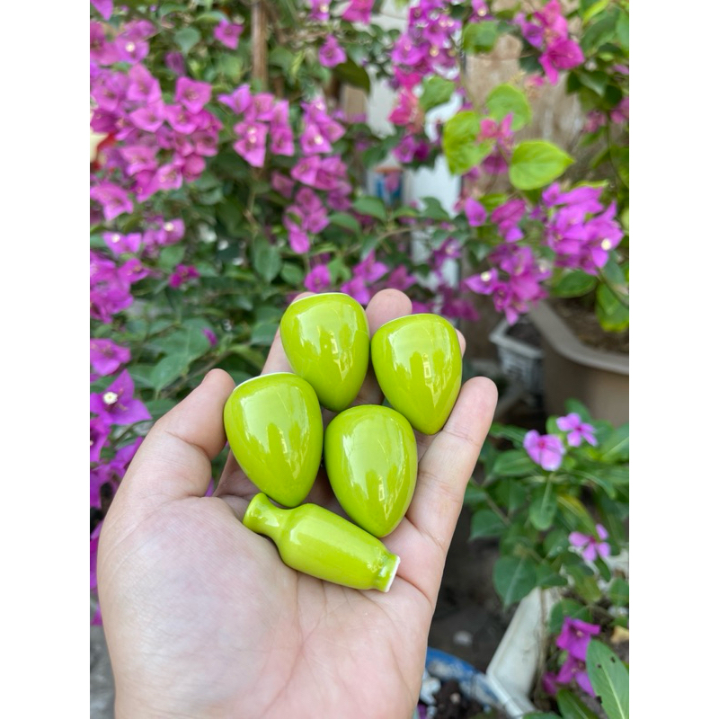 Cóng khuyên 1 màu