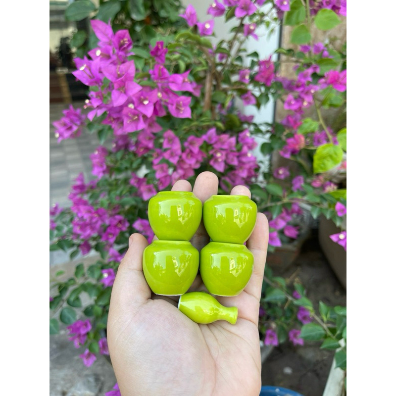 Cóng khuyên 1 màu