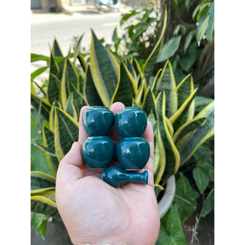 Cóng khuyên 1 màu