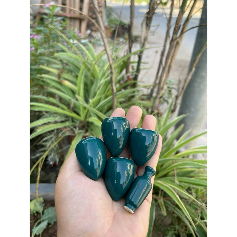 Cóng khuyên 1 màu