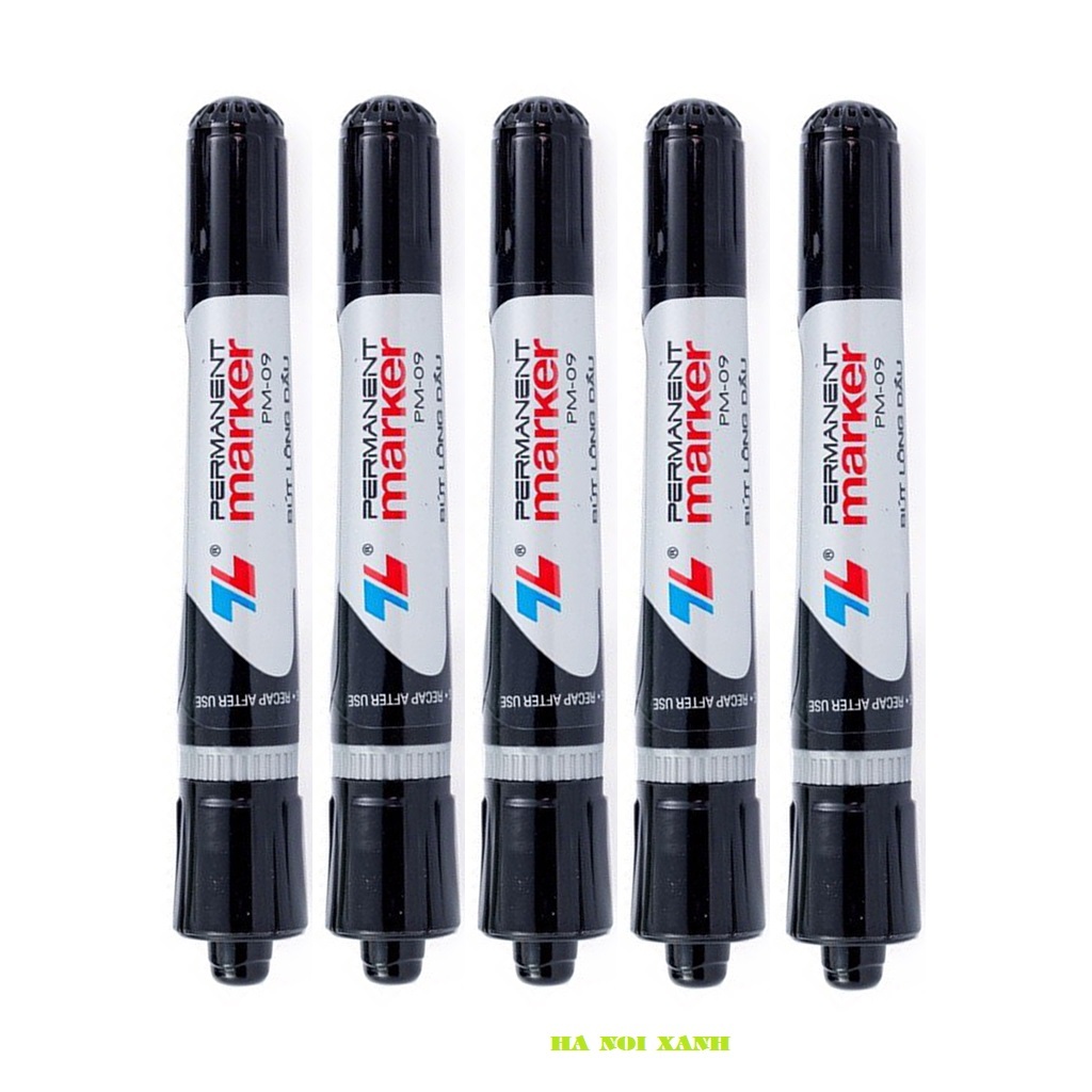 Sỉ hộp 10 bút lông dầu 2 đầu viết loại to PM-09 ngòi nhỏ PM-04 | BigBuy360 - bigbuy360.vn