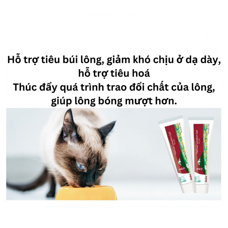 Hairball Solution BIOLINE 100g - Gel Tiêu Búi Lông, Giảm Hôi Miệng Cho Mèo