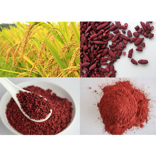 Bột hồng cúc – men gạo đỏ