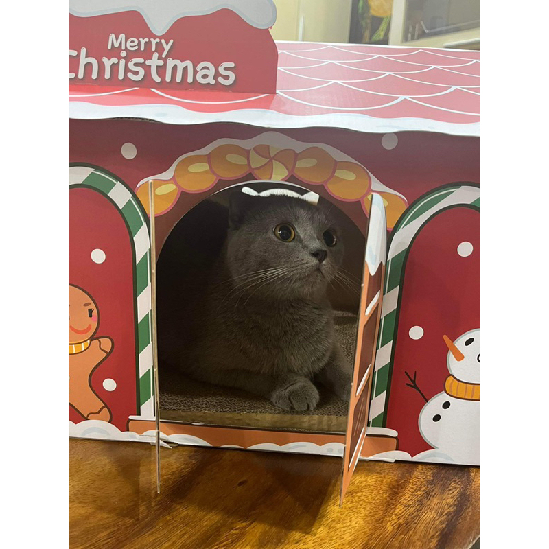 Nhà cào móng cho mèo bằng giấy bìa carton xả stress cho mèo