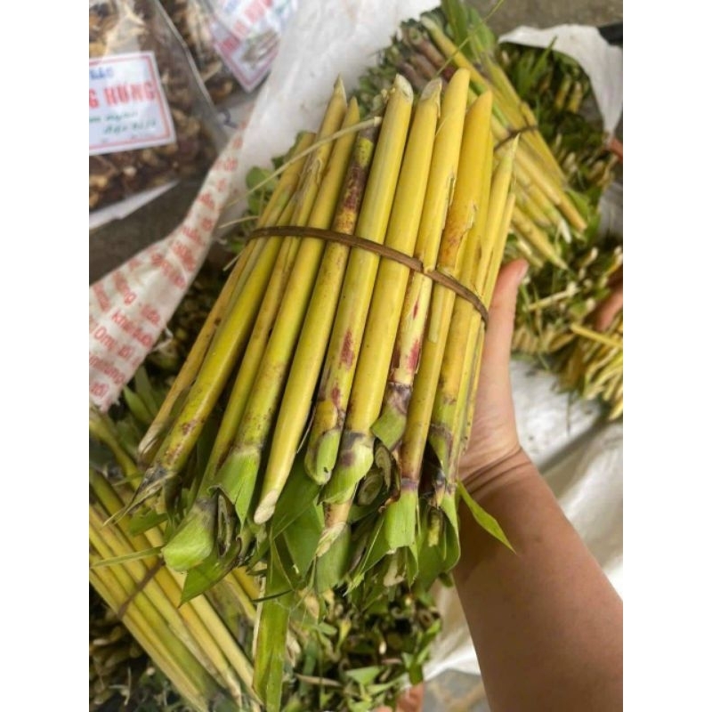 100 sâu chít đang vào vụ .