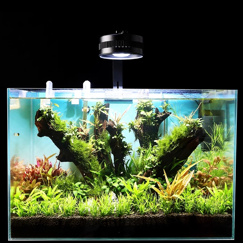 Đèn thủy sinh Ledesk - Dòng đèn hoàn hảo cho bể cá cảnh Biotope