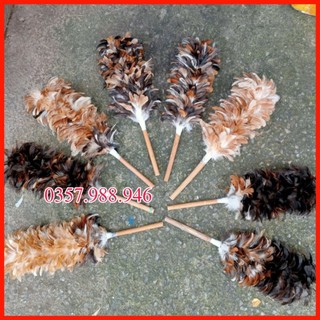Chổi quét bụi lông gà mini đẹp size 38cm, chổi lông gà