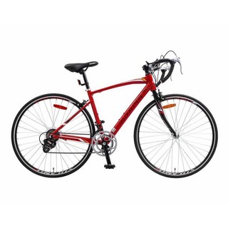 Xe đạp đua Touring  ASAMA RB SL2804 700C (Tặng đèn +chắn bùn +bình nước+ giá đỡbình nước+ lục giác)
