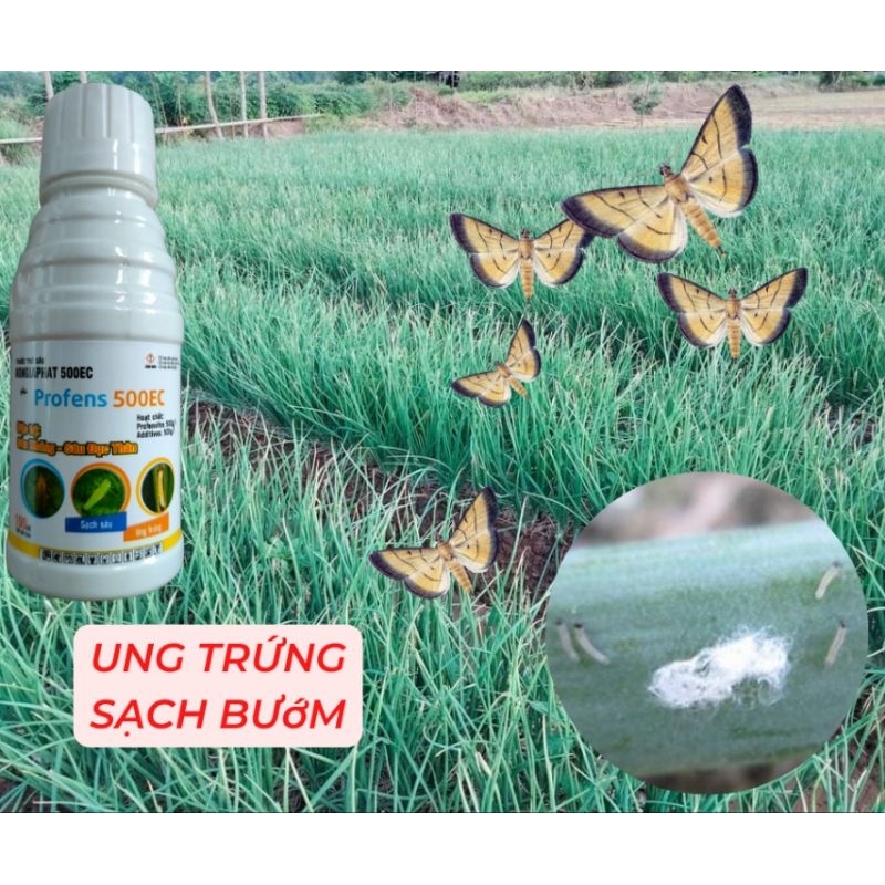 profen, chai 100ml, tiêu diệt bọ trĩ, sâu khoang, sâu đục thân trên Lúa, Đậu xanh, Bắp