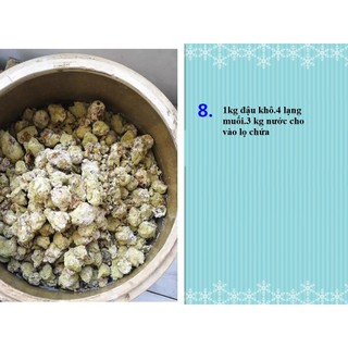 Men koji Aspergillus oryzae màu xanh trung quốc  lên men đậu hạt làm tương