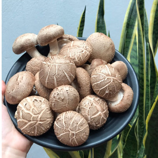 Nấm ăn lẩu - nấm hương tươi 1kg - giao hàng ngay| nấm sạch việt nam
